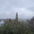 Webcam_20191119-100000