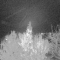 Webcam_20191119-193000