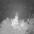Webcam_20191119-220000