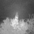 Webcam_20191120-050000