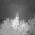 Webcam_20191120-060000