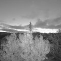 Webcam_20191120-070000