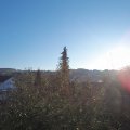 Webcam_20191120-090000