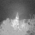 Webcam_20191120-180000