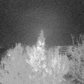 Webcam_20191120-183000