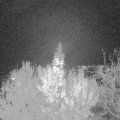 Webcam_20191120-203000