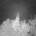 Webcam_20191120-220000