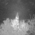 Webcam_20191121-050000