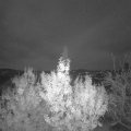 Webcam_20191121-070000