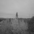 Webcam_20191121-073000