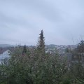 Webcam_20191121-090000