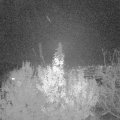 Webcam_20191121-180000