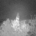 Webcam_20191121-183000