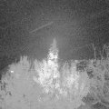 Webcam_20191121-190000