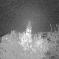 Webcam_20191121-193000