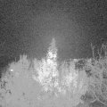 Webcam_20191121-203000