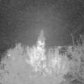 Webcam_20191121-210000