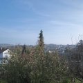 Webcam_20191122-123000