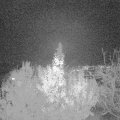 Webcam_20191122-180000