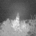 Webcam_20191122-193000