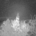 Webcam_20191122-203000