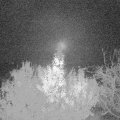 Webcam_20191123-050000