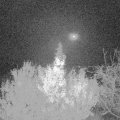 Webcam_20191123-053000