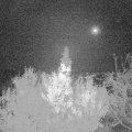 Webcam_20191123-060000