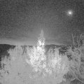 Webcam_20191123-063000