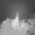 Webcam_20191123-210000