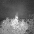 Webcam_20191124-173000