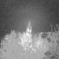 Webcam_20191124-193000