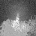 Webcam_20191124-210000