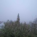Webcam_20191125-123000