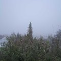 Webcam_20191125-130000