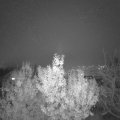 Webcam_20191125-180000