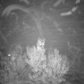 Webcam_20191125-190000