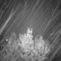Webcam_20191125-193000