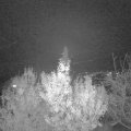 Webcam_20191125-213000