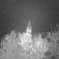 Webcam_20191125-220000
