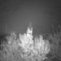 Webcam_20191126-060000