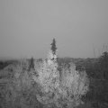 Webcam_20191126-073000