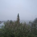 Webcam_20191126-123000