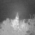 Webcam_20191126-183000