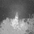 Webcam_20191126-190000
