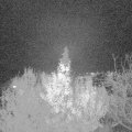 Webcam_20191126-193000