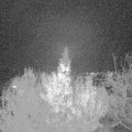 Webcam_20191126-203000