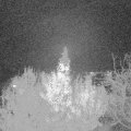 Webcam_20191126-213000
