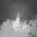 Webcam_20191126-220000