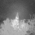 Webcam_20191127-063000
